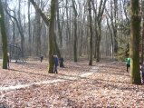../thumbnails/031-SN858422.jpeg.small.jpeg