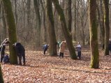 ../thumbnails/032-SN858424.jpeg.small.jpeg