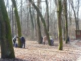 ../thumbnails/033-SN858425.jpeg.small.jpeg